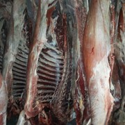 Торговля замороженными и охлажденными мясными продуктами фото