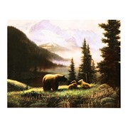 Роспись по холсту «Медведи на поляне»по номерам с красками по3 мл+ кисти+инстр+крепёж, 30×40 см фотография