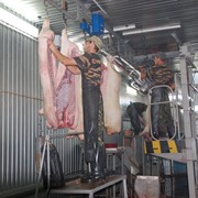 Мясо-перерабатывающей комплекс с производством товарного мяса до 4-5т / 16 час фото