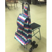 Хозяйственная сумка на колесах со стульчиком