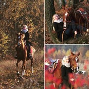 Фотосессии с лошадьми фото