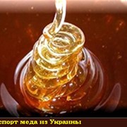 Экспорт меда в Турцию фото