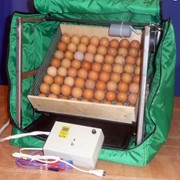 Инкубатор ТГБ-70 А “БИО“ фото