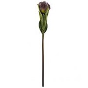 Цветок искусственный “леукоспермум“ высота=68 см без упаковки Lefard (265-601) фотография