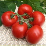 Семена томатов индетерминантных. фотография
