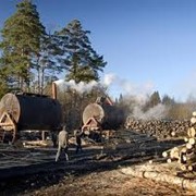 Производим и продаем древесный уголь