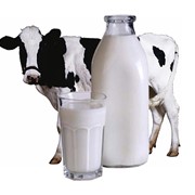 Молоко коровье фото