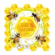 Пчелы живые для пчелоужаления (лечение укусами пчел) фото