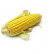 Насіння кукурудзи ДКС 2971 фото