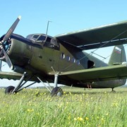Самолёты АН-2 1983, 1986, 1987, 1988 годов выпуска