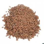 Лен пищевой фото