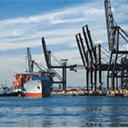 Международные морские перевозки сборных грузов