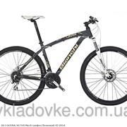 Bianchi KUMA 29.3 ACERA/ALTUS Mech графит/бежевый 43 2014 фото