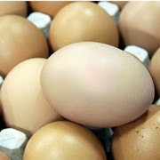 Яйца куриные. Реализация и выращивание птицы, яйца и суточных цыплят кросса H&N Brown Nick.