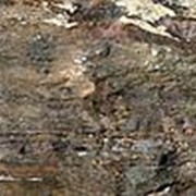 Замковый пробковый пол Corkstyle, FANTASY&STONE, Fossil (915х305х11 мм) упак. 1,68м2 фото
