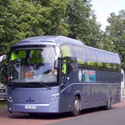 Автобус МАЗ 251