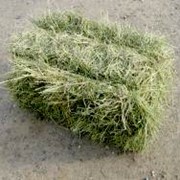 Сено суданской травы в тюках, Корма для животных фото