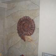 Морская ракушка облицовочная фото