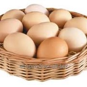 Яйцо высшей категории*200 (СВ) фото