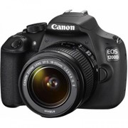 Цифровой фотоаппарат Canon EOS 1200D EF-S 18-55 DC III+ EF 50 1.8 STM (9127B131AA) фото