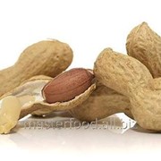 Арахис очищенный небланшированный 2832 меш 25 кг фото