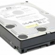 Жесткий диск SATA 500 GB WD 5000AAKS 7200rpm, 16MB фото