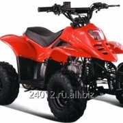 Квадроцикл Motoland ATV 50U фото