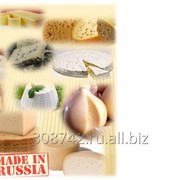 Курсы сыроваров фото