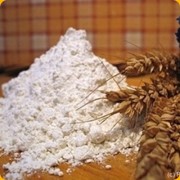 Клейковина пшеничная(глютен пшеничній) фото