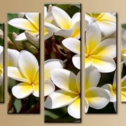 Пятипанельная модульная картина 80 х 140 см Бело-желтые цветочки фото