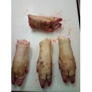 Субпродукты свиные(печень, хвосты, ножки, уши, бак фото
