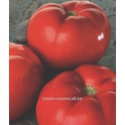 Семена томатов Линда F1 фотография