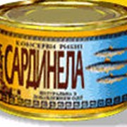 Сардинелла натуральная с добавлением масла 240 гр. фото
