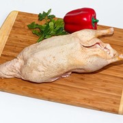 Мясо утки охлажденное, купить, заказать, Киев, Украина фото