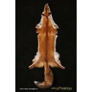 Натуральный мех лисы красной фотография