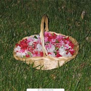 Цветочные корзины мини фото