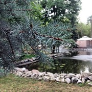 Отдых и оздоровление для всей семьи у воды на Трухановом острове фото