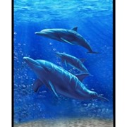 Пляжное полотенце HOME LINE велюр Дельфины 75х150