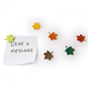 Набор Из 6 Магнитов Leaf A Message фото