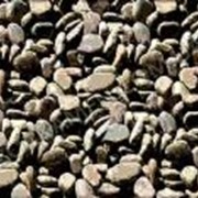 Обкатанный (галтованный) камень песчаник для ландшафтного дизайна Рондо 4, код Г110