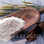 Мука пшеничная на экспорт фотография