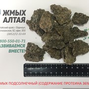 Жмых подсолнечный от 8200 р/т