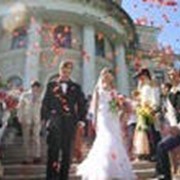 Организация свадеб фото