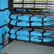 Структурированные кабельные сети фото