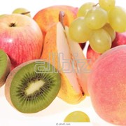 Поставка фруктов и овощей заведениям питания и магазинам. фото
