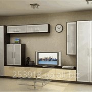 Модульная мебель гостиная (10) фотография