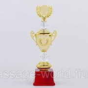 Кубок (пластик, h-29,5см, d чаши-6,5см, золото) фото
