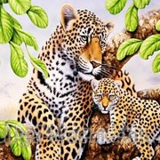 Картина стразами Леопард с детенышем - 30х50см фото