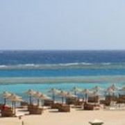 Спокойный отдых на новом курорте Египта фото