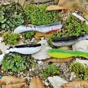 Predator-Z Rumba soft lure, 8cm, 6g CZ2722 фото